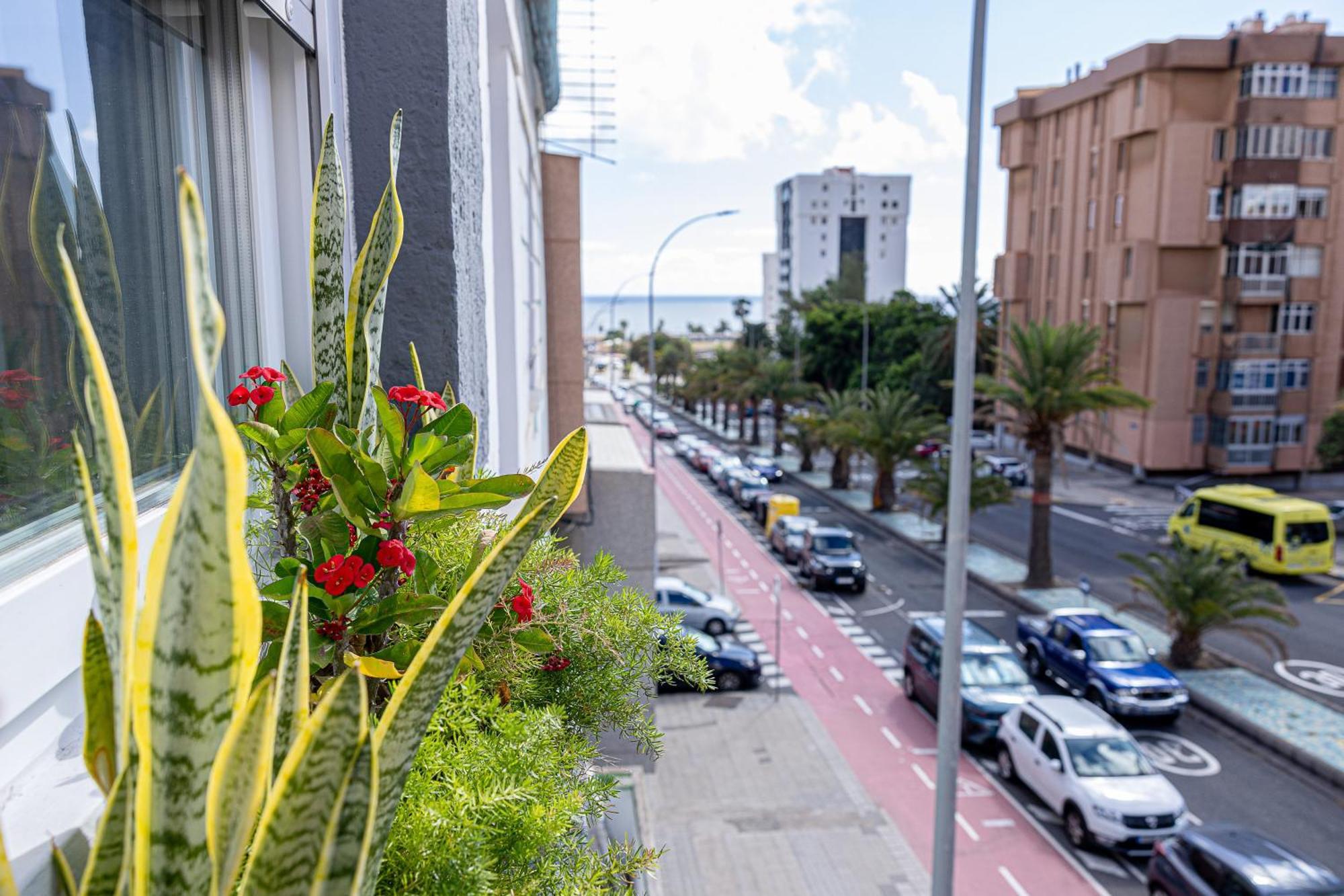 Bambu Suites Vegueta Alquiler Por Habitacion Las Palmas Exterior photo